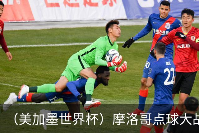 （美加墨世界杯）摩洛哥点球大战胜荷兰 惊险晋级16强